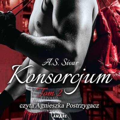 Konsorcjum Tom II – okładka audiobooka, autor A.S. Sivar