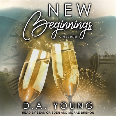 New Beginnings – omslag til lydbogen af D. A. Young