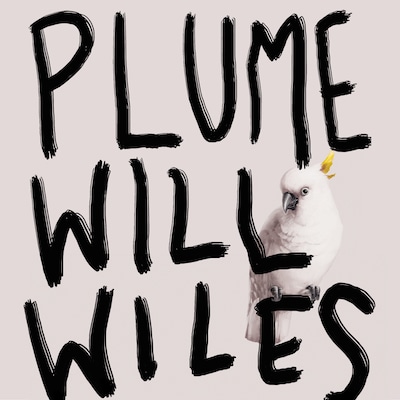 Plume