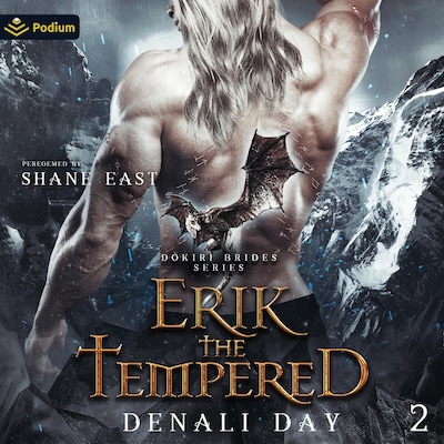 Erik the Tempered – omslag til lydbogen af Denali Day