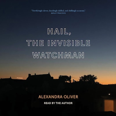 Hail, the Invisible Watchman