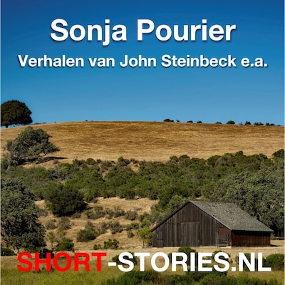 Verhalen van John Steinbeck e.a.