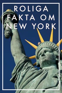 Roliga fakta om New York