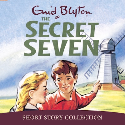 Secret Seven Short Story Collection