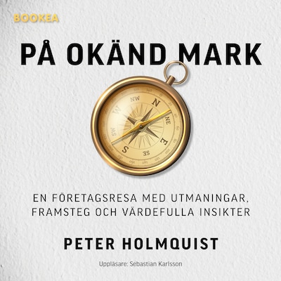 På okänd mark : en företagsresa med utmaningar, framsteg och värdefulla insikter