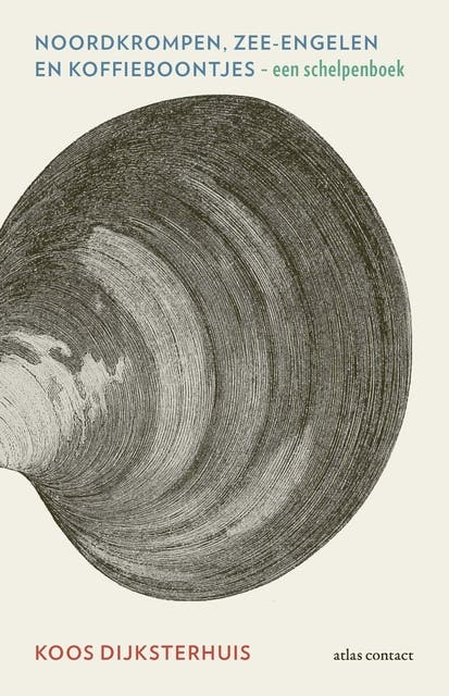 Noordkrompen, zeeengelen en koffieboontjes: een schelpenboek – omslag van het luisterboek van Koos Dijksterhuis
