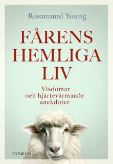 Fårens hemliga liv – omslag till ljudboken av Rosamund Young