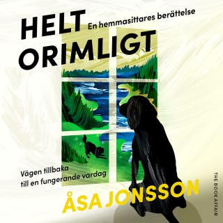 Helt orimligt - En hemmasittares berättelse – omslag till ljudboken