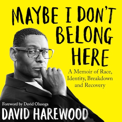 Maybe I Don't Belong Here – omslag til lydbogen af David Harewood