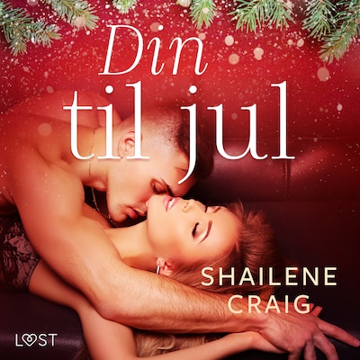 Din til jul – erotisk novelle – omslag til lydbogen af Shailene Craig