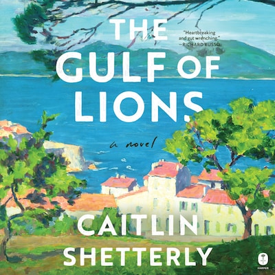 The Gulf of Lions