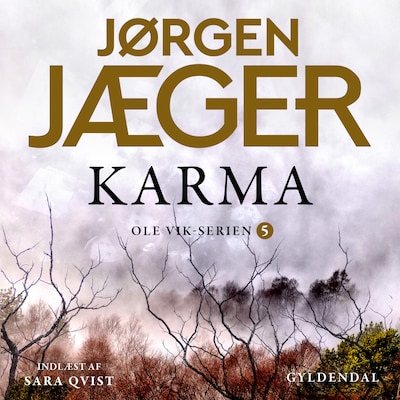 Karma – omslag til lydbogen af Jørgen Jæger