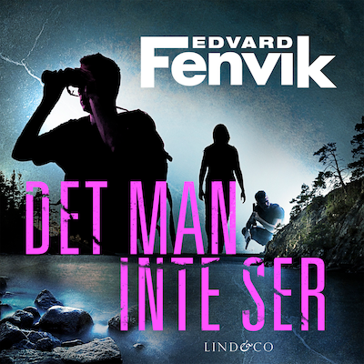 Det man inte ser