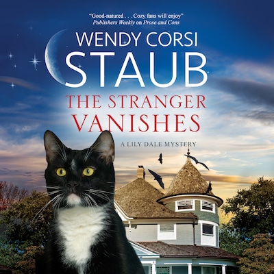 The Stranger Vanishes