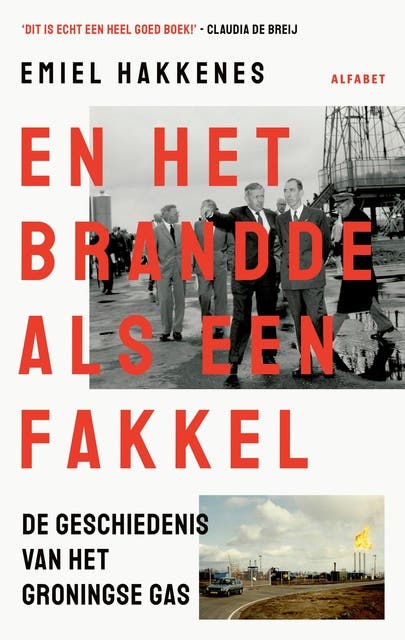 En het brandde als een fakkel: De geschiedenis van het Groningse gas