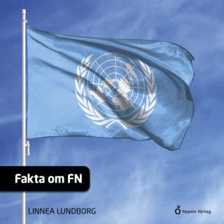Fakta om FN