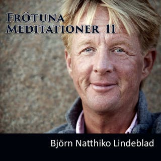 Frötuna Meditationer 11