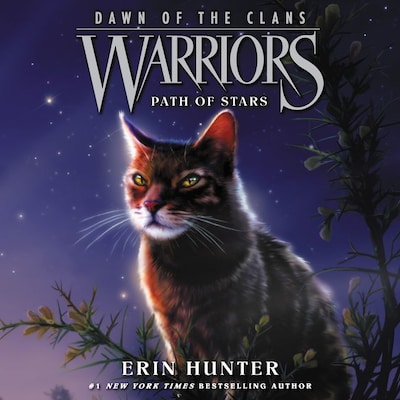 Warriors: Dawn of the Clans #6: Path of Stars