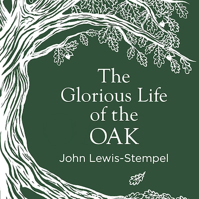 The Glorious Life of the Oak – omslag til lydbogen af John Lewis-Stempel