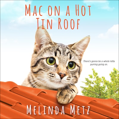 Mac on a Hot Tin Roof – omslag til lydbogen af Melinda Metz
