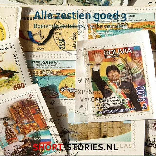 Alle zestien goed 3