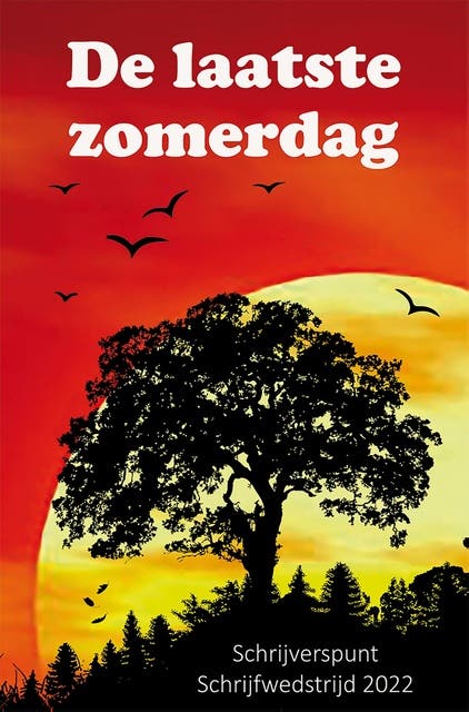 De laatste zomerdag: Schrijverspunt schrijfwedstrijd 2022 – omslag van het luisterboek