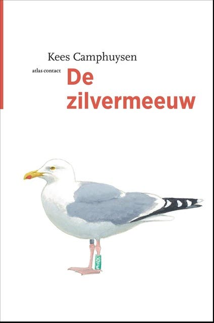 De zilvermeeuw – omslag van het luisterboek van Kees Camphuysen