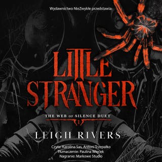 Little Stranger – okładka audiobooka, autor Leigh Rivers