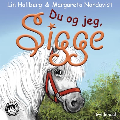 RAP-klubben 13 - Du og jeg, Sigge – omslag til lydbogen af Lin Hallberg