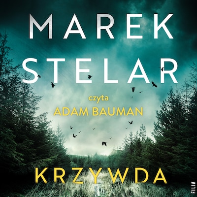 Krzywda – okładka audiobooka, autor Marek Stelar