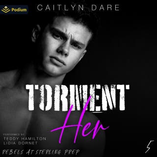 Torment Her: Rebels at Sterling Prep, Book 5 – omslag till ljudboken av Caitlyn Dare
