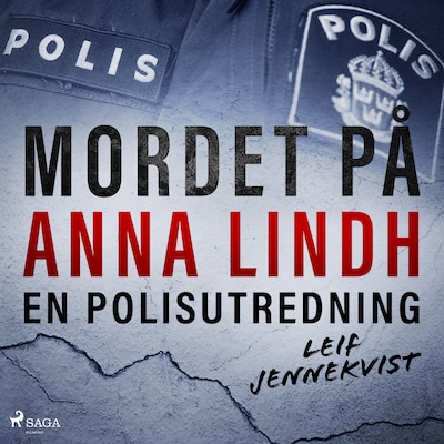Mordet på Anna Lindh: en polisutredning