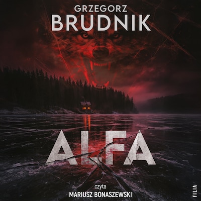 Alfa – okładka audiobooka, autor Grzegorz Brudnik