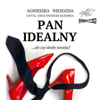 Pan Idealny – okładka audiobooka, autor Agnieszka Niezgoda