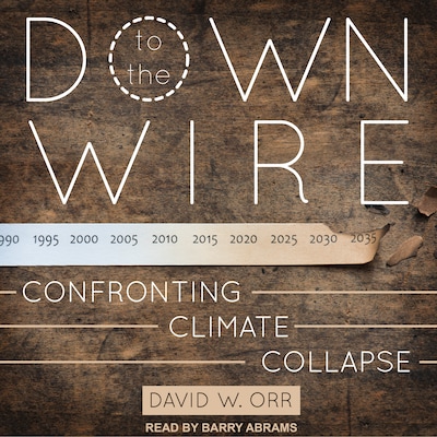 Down to the Wire – omslag til lydbogen af David W. Orr