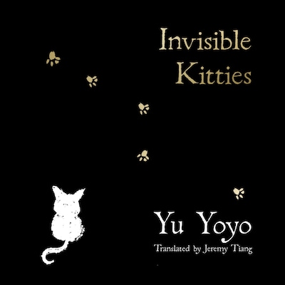 Invisible Kitties