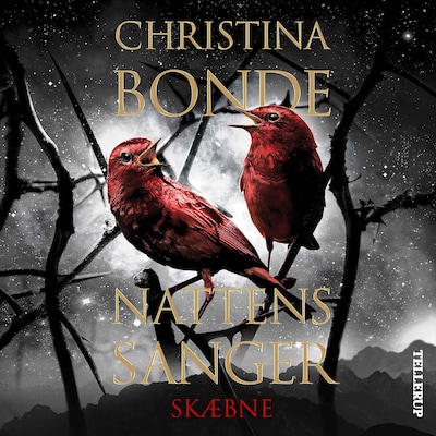 Nattens sanger #2: Skæbne