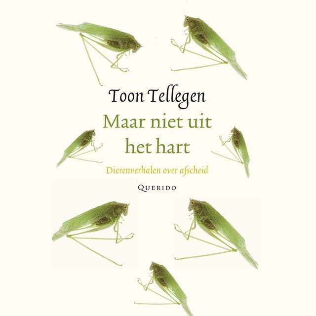 Maar niet uit het hart: Dierenverhalen over afscheid