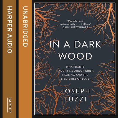 In a Dark Wood – omslag til lydbogen af Joseph Luzzi