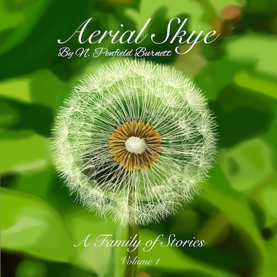 Aerial Skye – omslag till ljudboken av N. Penfield Burnett