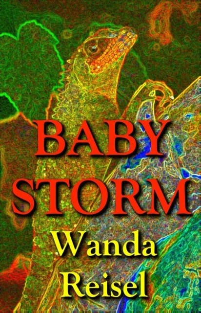 Baby Storm – omslag van het luisterboek van Wanda Reisel
