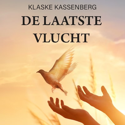 De laatste vlucht