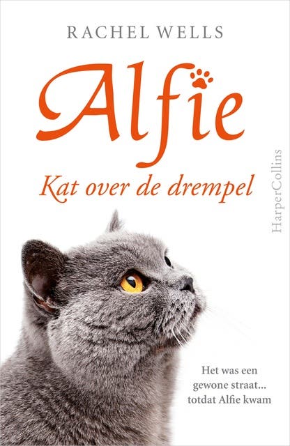 Kat over de drempel: het was een gewone straat...totdat Alfie kwam