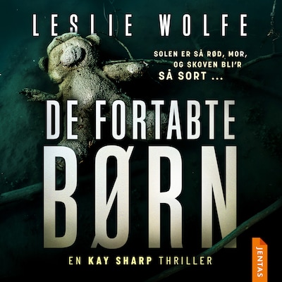 De fortabte børn – omslag til lydbogen af Leslie Wolfe