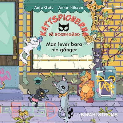Man lever bara nio gånger