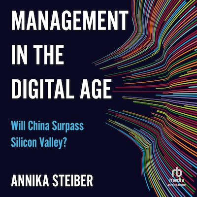 Management in the Digital Age – omslag til lydbogen af Annika Steiber