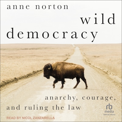 Wild Democracy – omslag til lydbogen af Anne Norton