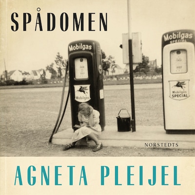 Spådomen : en flickas memoarer