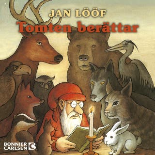 Tomten berättar – omslag till ljudboken av Jan Lööf
