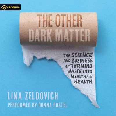 The Other Dark Matter – omslag til lydbogen af Lina Zeldovich